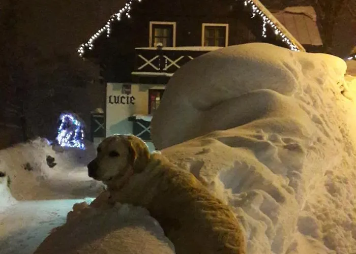 Lucie Гостевой дом